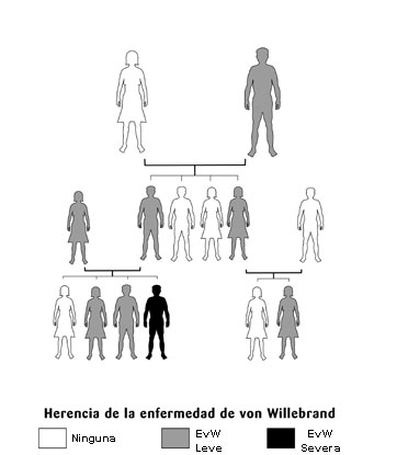 Herencia de la enfermedad de Von Willebrand: dibujos que simbolizan parejas y su descendencia