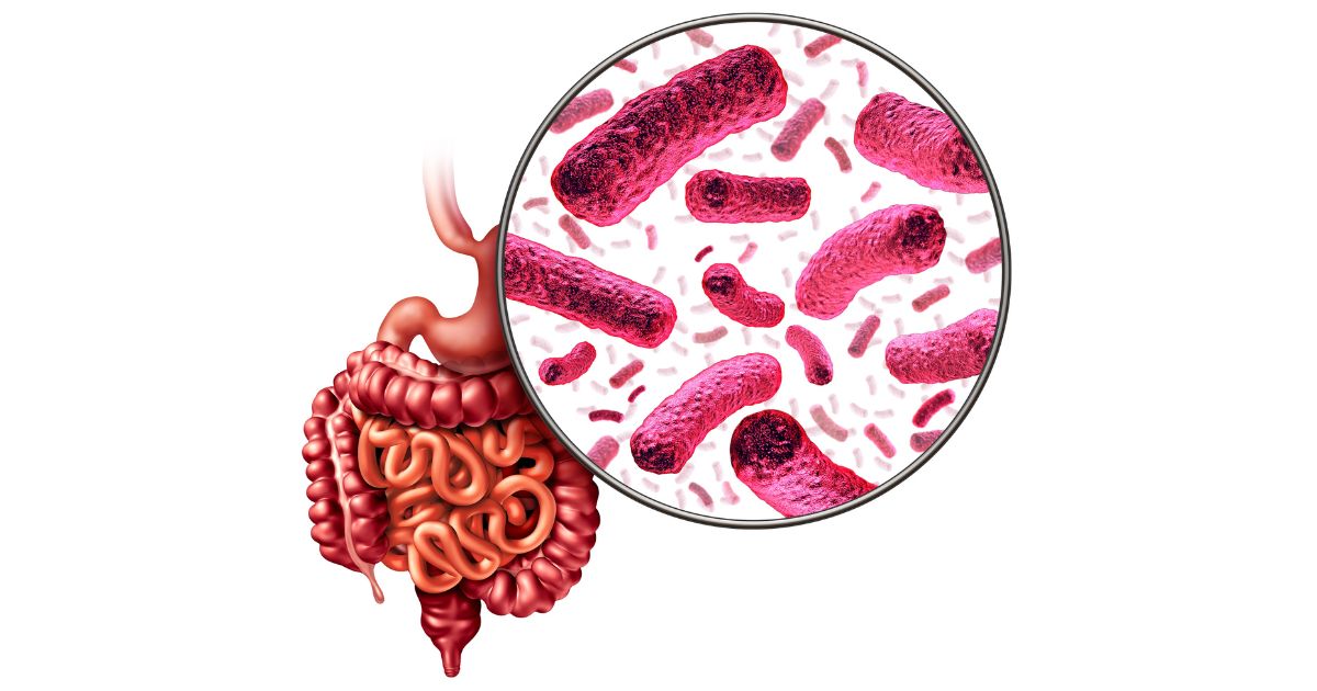 Se ven las partes del sistema digestivo, con una representación de microorganismos representando la microbiota intestinal.