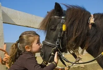 Una niña en una clase de terapia asistida con animales, en esta ocasión con un caballo